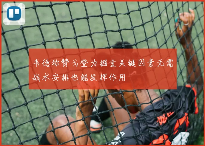 韦德称赞戈登为掘金关键因素无需战术安排也能发挥作用